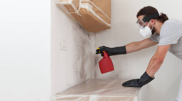 Professional Mold Remediation technician working in Woodville, VA