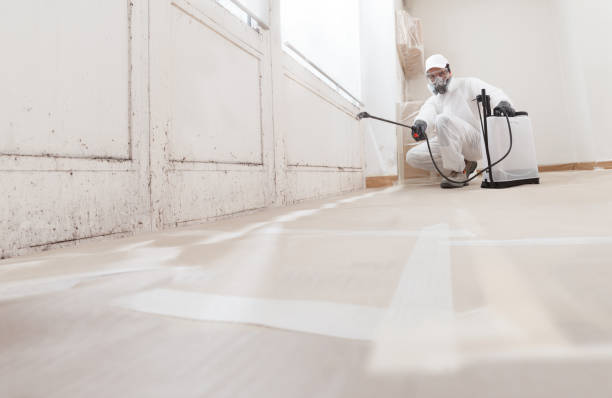 24/7 Emergency Mold Remediation experts in Woodville, VA